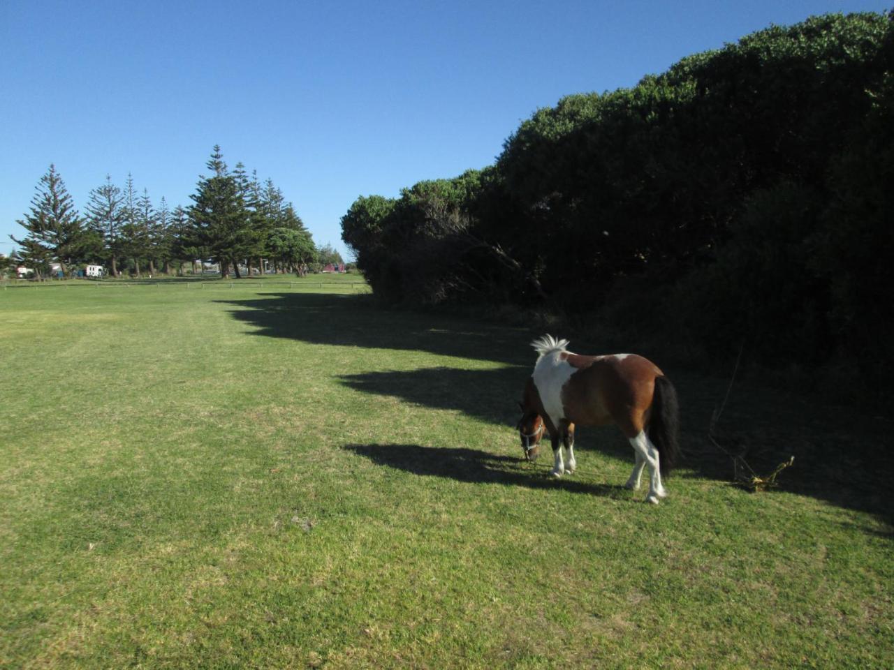 Monday Seaside Cottage Whanganui Zewnętrze zdjęcie